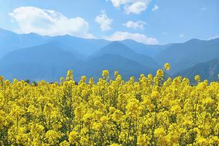 扎实！约基奇半场11投8中拿下19分7板5助 首节独揽15分